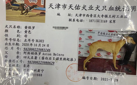 黄保罗 941000225081146，BLDZ2