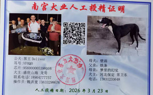 黑王X壁画 900215005132709.jpg