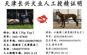 顶点X小狐狸 990000001070474，NLEM1605.jpg