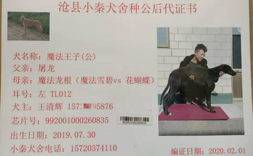 魔法王子 992001000260835，TL012