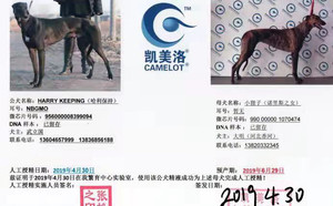 哈利保持X小狐狸 990000001070474，NLEM1605.jpg