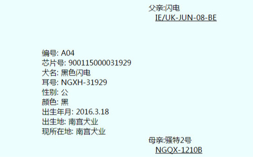 黑色闪电 900115000031929