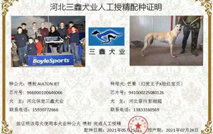 喷射X芒果 941000225080126.jpg