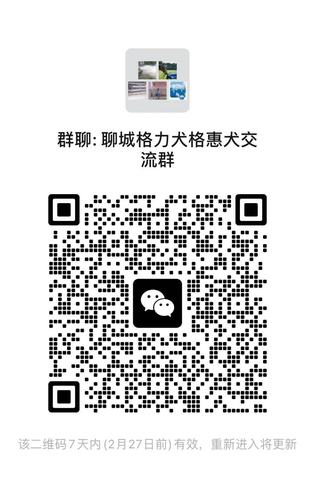 格力犬群推广.jpg