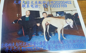 吉格帕夫X子弹 DTFS 75B，156111110092735.jpg