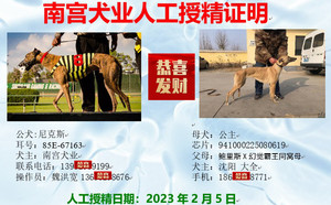 尼克斯X沈阳大全的公主941000225080619（2023年2月5日配）.jpg