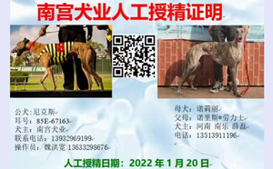 尼克斯X诺莉丽 900250000384708，NLLL1605.jpg
