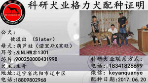 使溢出X葫芦娃900250000431998，NLHW1301.jpg