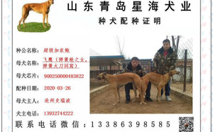 超级加农炮X飞鹰 J65C，900250000483822.jpg