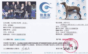 杜克X弹簧卓玛 156111110066724，J75C.jpg