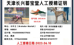 斗牛士XX宝 900215000112367，FFSS1807.jpg
