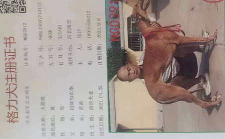 火箭炮 900115001743415，NGXH321AB1