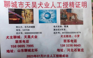 非凡的碰撞X石家庄小罗的软黄941000225081679（2023年7月31日配）.jpg