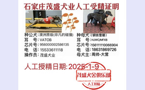 非凡的碰撞X钢铁雪碧 156111110066904.jpg