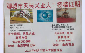 鲍里斯X海浪公主 156111110029513.jpg