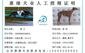 黑王X黄诺 156111110098180，NLHH1609.jpg