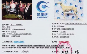黑王X黄龙石 DBAN2，900018881702757.jpg