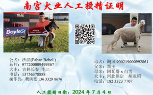 法汉X保定胡亚昭的飓风900219000992861（2024年7月4日配）.jpg