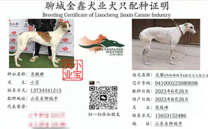 米麒麟X天眼 941000225080698，BLCP6.jpg