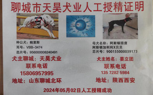 鲍里斯X阿斯顿猎鹰 900155000039173，L1909.jpg