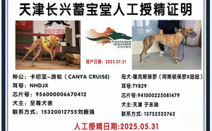 卡尼亚游轮X福克斯保罗941000225081479，TY829.jpg