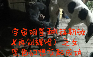 宇宙明星X黑色幻想 HSZC 1308，900115000131551.jpg