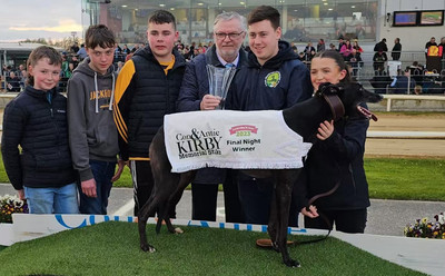 闪烁的柳树 Flashing Willow，977200009695341，VHADP