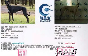 魔法雪碧X小花 NLXB 124A，941000015046987.jpg