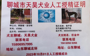 阿斯顿吉甘特X葫芦蛋 990000006890783，0103F.jpg
