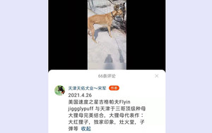 吉格帕夫X狸母 900111880089666.jpg