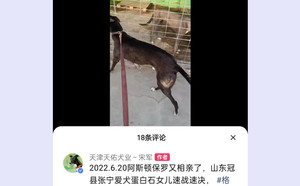 阿斯顿保罗X速战速决 DBAS1，515000187032990.jpg