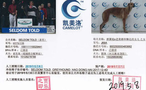 嘉里X弹簧蛋 J69A，900250000483882.jpg