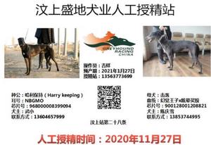 哈利保持X击落 HJMG 411A，900128001208821.jpg