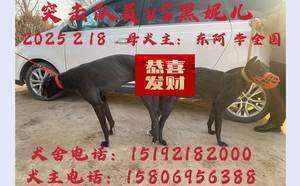 突击队员X黑妮儿 900115001743572，NGXH720A19.jpg