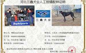 喷射X小花式 156111110068065.jpg