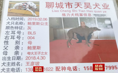 鲍里斯公主 900155000037121，BLS004