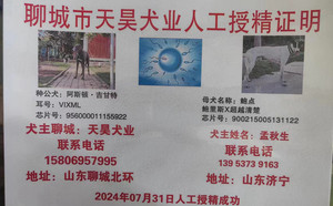 阿斯顿吉甘特X鲍点 900215005131122.jpg