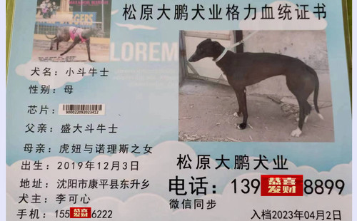 小斗牛士 900022092023412