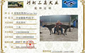 奇怪的男孩X六六零 900111880089660.jpg