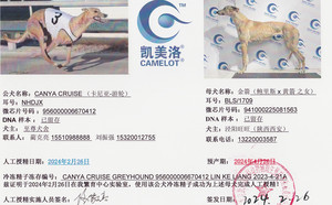 卡尼亚游轮X金箭 941000225081563.jpg