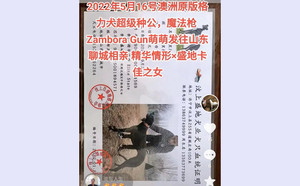 魔法枪X黑凤凰 900215001894569.jpg
