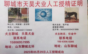 阿斯顿吉甘特X葫芦娃 900250000431998，NLHW1301.jpg