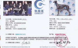 杜克X黑妞 900215005748895.jpg