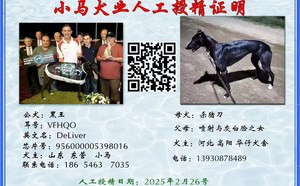 黑王X杀猪刀 900215004956521，61PS.jpg