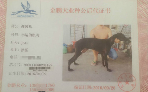 幸运的枪 900111880231129，J64D
