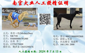 米奇杜X黑豆900219000992868.jpg