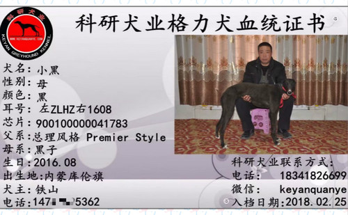 小黑 900100000041783，ZLHZ1608