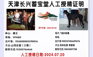 黑王X松原李晓明的爱犬（2024年7月20日配）.jpg