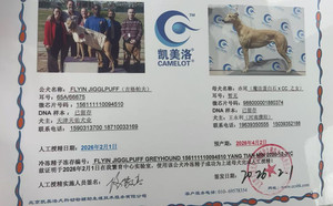 吉格帕夫X赤尾 900219000431178，988000001880374.jpg