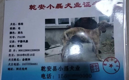 格格 900128001208028